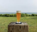 Bambudan Ale Glass Classic Bowl Amber Aromatics Enhancer - Image 2