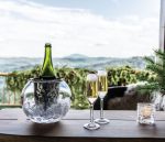 Bambudan Champagne Flute Bristol Golden Ratio Inspired Handblown Stem - Image 3