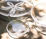 Bambudan Platter Sand Dollar Handcrafted Coastal Serving Presentation - Image 3
