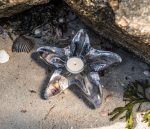 Bambudan Votive Starfish Rounded Glass Beach Inspired Accent - Image 5